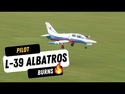 Freewing L-39 EDF | Pilot Burns