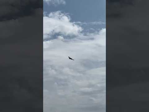 Weston Park 2023 CARF B-2 Spirit stealth bomber #turbine #radiocontrol #rcaircraft #westernpark