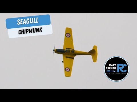Classic Looks, Electric Heart | Seagull Chipmunk Maiden Flight