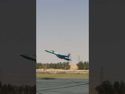 RC Shorts Collection