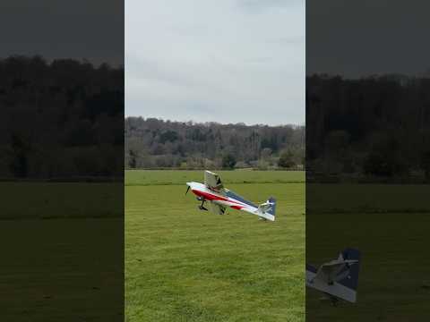 RC Shorts Collection